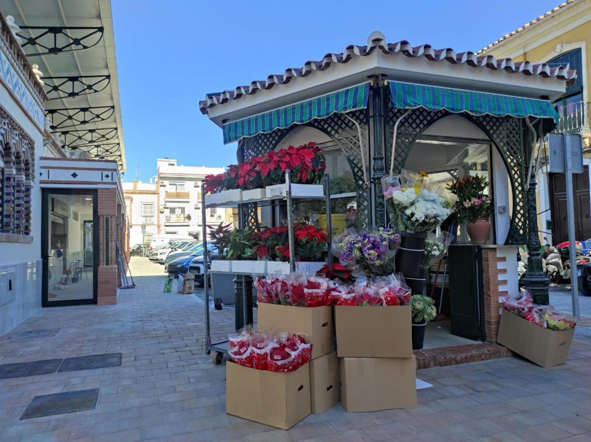 La Terraza De Salomon Apartamentosmalagamanagement Εξωτερικό φωτογραφία